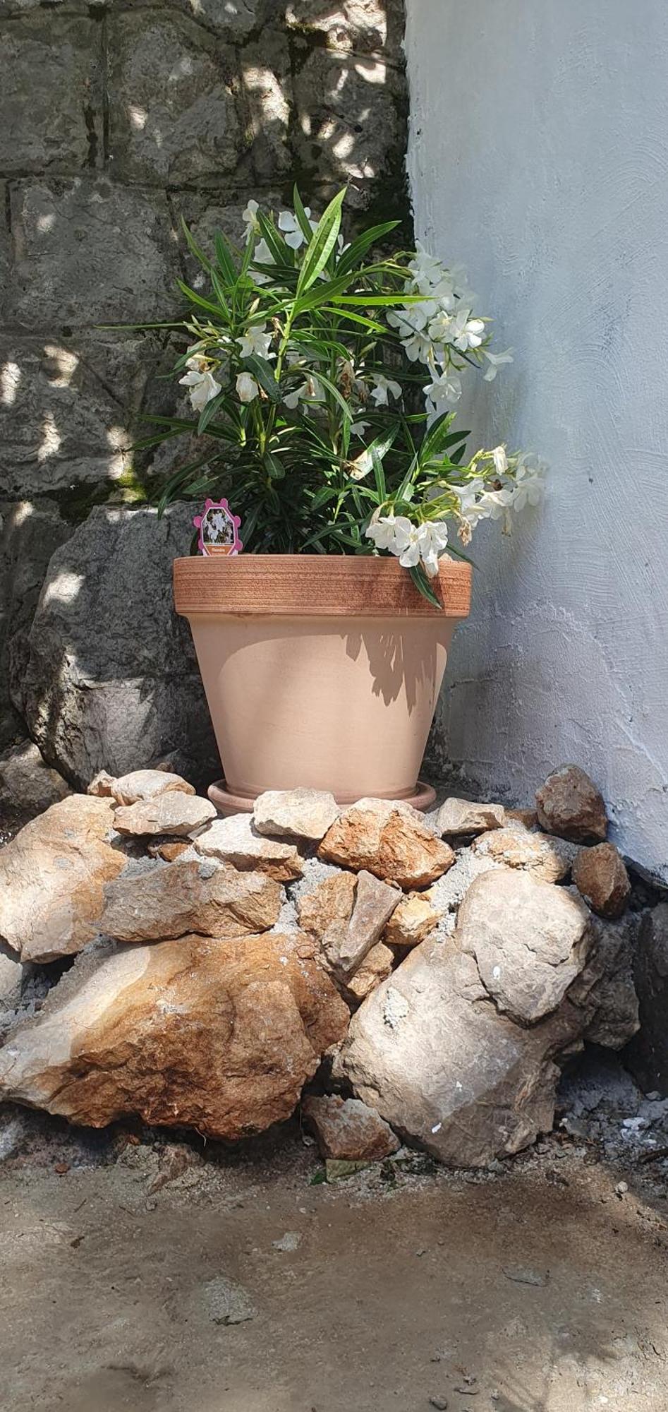 Apartmani Sara Marija Karlobag Kültér fotó